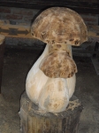 CIMG1281.JPG